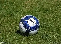 杨幂力赞其,最优秀,陈伟霆隐恋,B体育官方,B体育在线官网,B体育线上,B体育APP