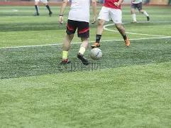 格林控股集,B体育,B体育官方,B体育官方,B体育在线官网,B体育线上,B体育APP