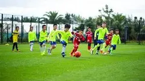 B体育 资讯 112747 a5x