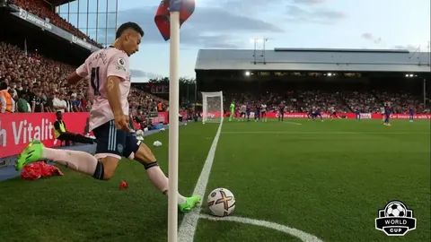 B体育 资讯 110845 cdo