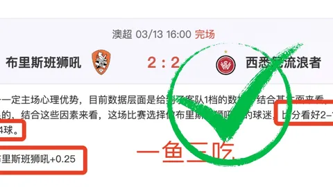 “米兰冬奥会B计划：新赛道或延期竣工，美国普莱西德湖成替补场馆——环球时报”